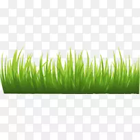 ����ͼ��-��PNGͼ���̲�PNGͼƬ-������