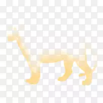 狮子狗,犬科,鼻子,尾狮-空若网 狮子狗,犬科,鼻子,尾狮-空若网