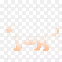 猫尾鼻-空若网 猫尾鼻-空若网