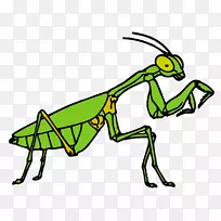 ��Ȥ�����������-����-������