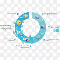 ¿¹ÔÌá³Êϸ°ûtϸ°û-ϸ°û-¿ÕÈôÍø ¿¹ÔÌá³Êϸ°ûtϸ°û-ϸ°û-¿ÕÈôÍø