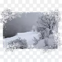 面罩框-面罩-空若网 面罩框-面罩-空若网