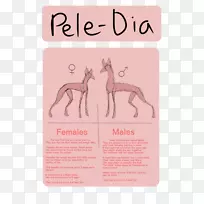 �����ǻ�����-����-������