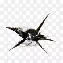 µ²·ç²£Á§à¹ÐÇÐβ£Á§ÁÑ¿Ú-¿ÕÈôÍø µ²·ç²£Á§à¹ÐÇÐβ£Á§ÁÑ¿Ú-¿ÕÈôÍø