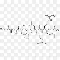 非核糖体肽内啡肽阿片受体阿片肽-空若网 非核糖体肽内啡肽阿片受体阿片肽-空若网