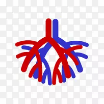 循环系统心血管系统人体科学Серцево-судиннасистема-科学-空若网 循环系统心血管系统人体科学Серцево-судиннасистема-科学-空若网