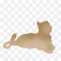 猫狮子狗桌面壁纸鼻子-猫-空若网 猫狮子狗桌面壁纸鼻子-猫-空若网