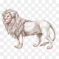 狮子狗犬科鼻子素描-狮子-空若网 狮子狗犬科鼻子素描-狮子-空若网