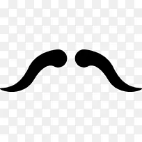 ��ָ��ɫ���������-������