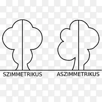 不对称定义意味着艺术-数学-空若网 不对称定义意味着艺术-数学-空若网
