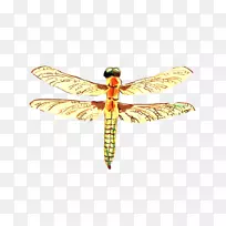 ���������������-������