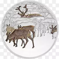 ѱ¹���ҽ�ѱ¹-������