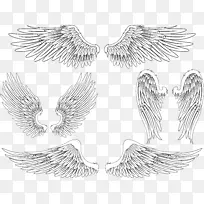 天使翅膀鸟羽毛-创意翅膀-空若网 天使翅膀鸟羽毛-创意翅膀-空若网