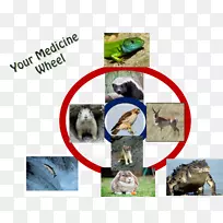 鳄鱼,,鼻子,动物,喙-鳄鱼-空若网 鳄鱼,,鼻子,动物,喙-鳄鱼-空若网