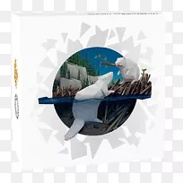 ƽ�����-���-������