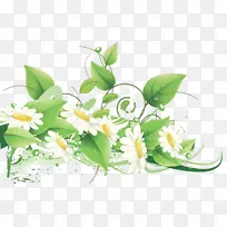 ��ͨ���ջ������-������