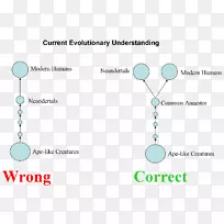 青绿松石品牌-neandertahl-空若网 青绿松石品牌-neandertahl-空若网