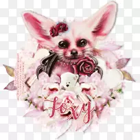 犬种小狗爱鼻子-小狗-空若网 犬种小狗爱鼻子-小狗-空若网