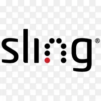 Slingbox���ӵ���ý�幫˾�ձ�ҵ��-������