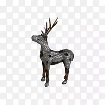 驯鹿鹿角包动物野生动物驯鹿-空若网 驯鹿鹿角包动物野生动物驯鹿-空若网