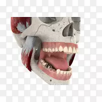 JJ-制药标志概念-空若网 JJ-制药标志概念-空若网