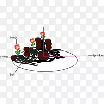 ��-��-������