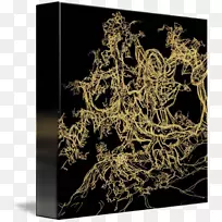 ��-��-������