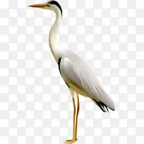 �Ĵ������������������ػ�-������