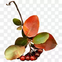 ������Ӱˮ��-����-������