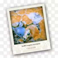 水彩画画框有机体-空若网 水彩画画框有机体-空若网