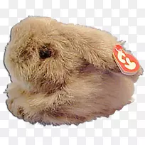 兔鼻兔-空若网 兔鼻兔-空若网