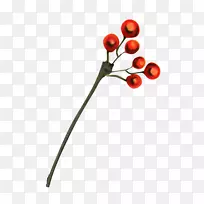 �¸���˹ˮ��������-����-������