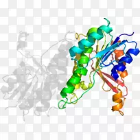 ���߼�����-��-������