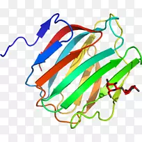 �ߵ������������-������