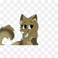 猫科动物猫科动物-空若网 猫科动物猫科动物-空若网