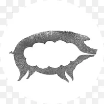 白色字体设计-空若网 白色字体设计-空若网