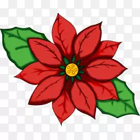 花卉设计大丽花图案-圣诞夜-空若网 花卉设计大丽花图案-圣诞夜-空若网