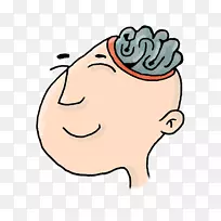 肠神经系统神经元-人类思维-空若网 肠神经系统神经元-人类思维-空若网