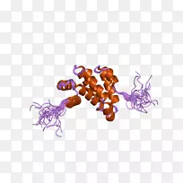昆虫字体-空若网 昆虫字体-空若网