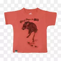 t�������װ����t��-������