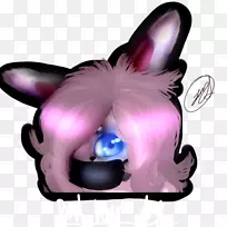 狗鼻-空若网 狗鼻-空若网