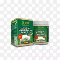 青大麦-空若网 青大麦-空若网