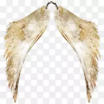 ��ʹ��������-��ʹ-������