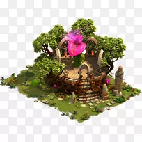 树花-树-空若网 树花-树-空若网