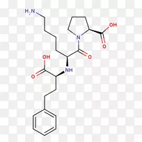 线点技术.线-空若网 线点技术.线-空若网
