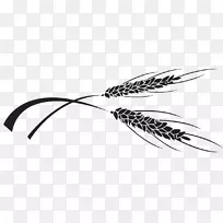 ë�ݰ���-������