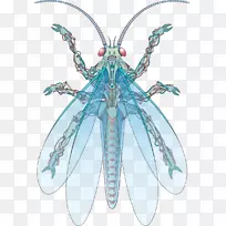 昆虫插图.手绘机械蝇-空若网 昆虫插图.手绘机械蝇-空若网