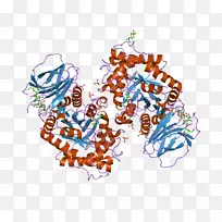 �ߵ������-��-������