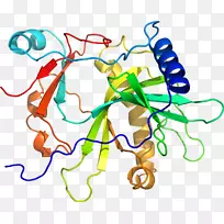 �ߵ������������-������