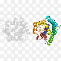 艺术体珠宝字体-珠宝-空若网 艺术体珠宝字体-珠宝-空若网